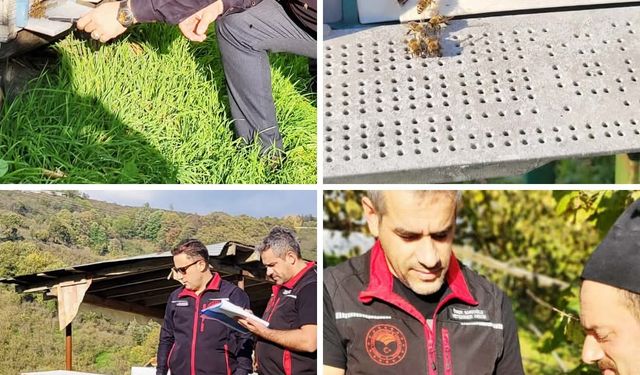 Akyazı’da arı kovanı desteği