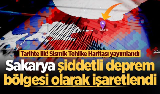 Tarihte ilk! Sismik Tehlike Haritası yayımlandı: Sakarya şiddetli deprem bölgesi olarak işaretlendi