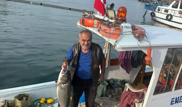 Akçakoca'da balıkçı ağına 10 kiloluk levrek takıldı