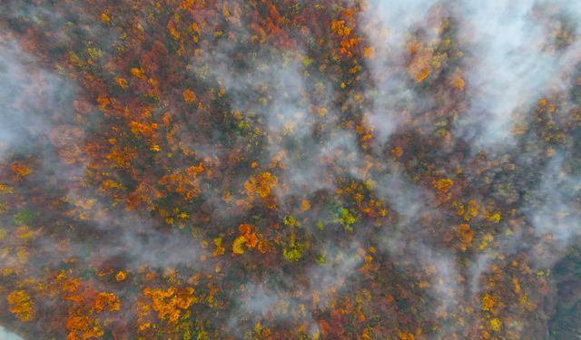 Yılın son günlerinde kartpostallık fotoğraflar