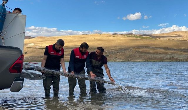 Deniz ve göllere 83 milyon balık bırakıldı