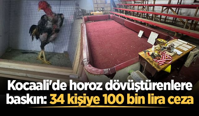 Kocaali'de horoz dövüştürenlere baskın: 34 kişiye 100 bin lira ceza
