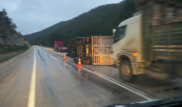 Odun yüklü tır devrildi