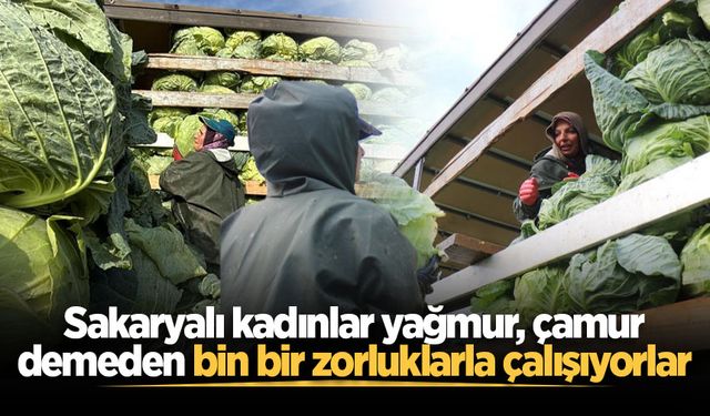 Sakaryalı kadınlar yağmur, çamur demeden bin bir zorluklarla çalışıyorlar