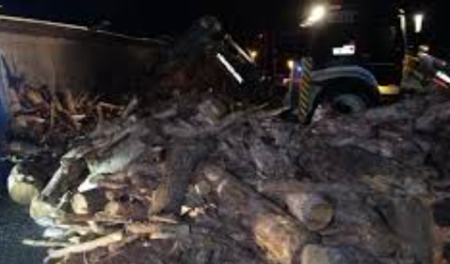 Kamyon ile hafif ticari araç çarpıştı; 4 yaralı