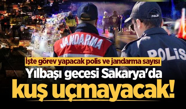 Sakarya'da yılbaşı gecesi güvenlik tedbirleri üst seviyede!
