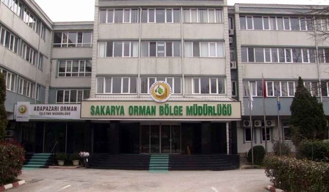 Sakarya Orman Bölge Müdürlüğü, Hendek’teki dört taşınmazı satışa çıkarıyor