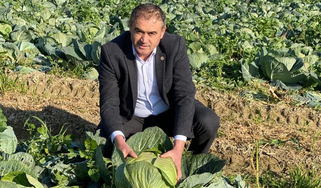 Kaynarca Lahana Pazarı’ndaki fiyatlar üreticiyi üzdü