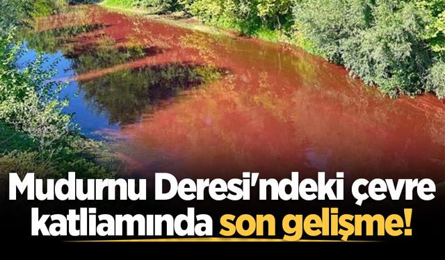 Mudurnu Deresi'ndeki çevre katliamında son gelişme!