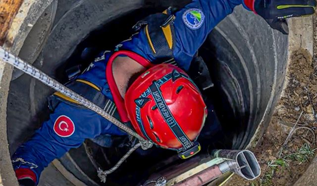 Kocaali'de 11 metre derinliğindeki rögara düşen köpekler kurtarıldı