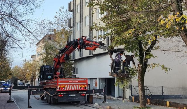 Hendek Belediyesi dal budama ve temizlik çalışmalarını sürdürüyor