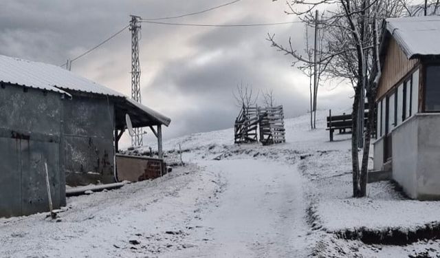 Düzce'deki Kardüz Yaylası beyaz örtüyle kaplandı