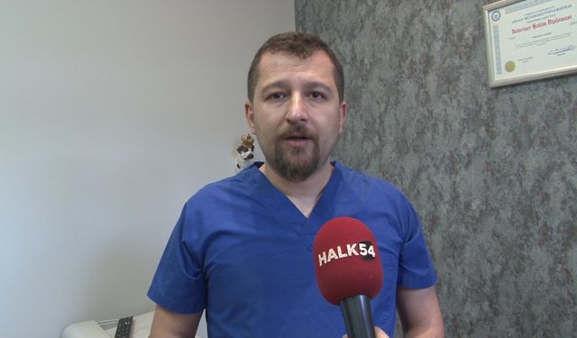 Veteriner Hekimler Odası: “Sahipsiz hayvanların tedaviye erişimi engellenemez”