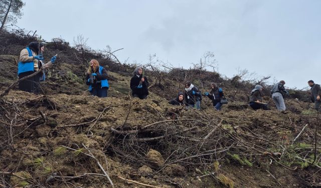 MHP Geyve'den ağaçlandırma programı