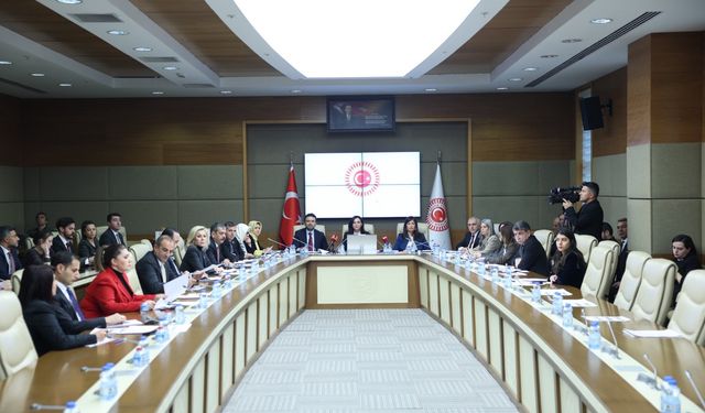 Suça sürüklenen çocukları araştırma komisyonu ilk toplantısını yaptı