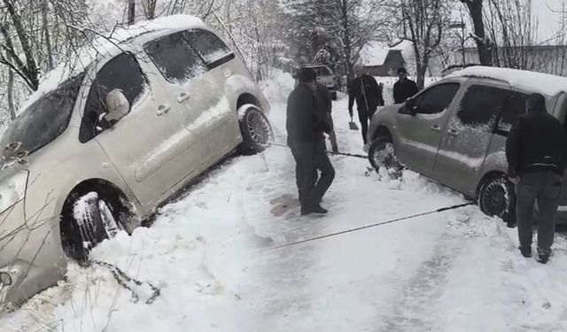 Ağaç faciayı önledi