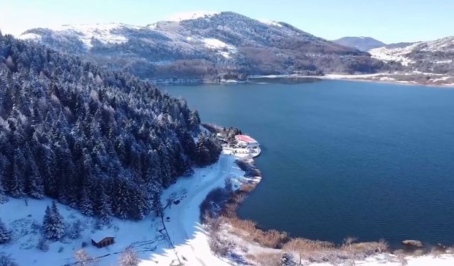 Abant Gölü'nde kış güzelliği