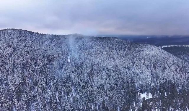 Aladağlar'da kış güzelliği
