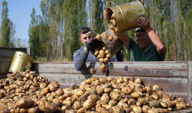 Tarım-GFE yıllık yüzde 34,24 arttı