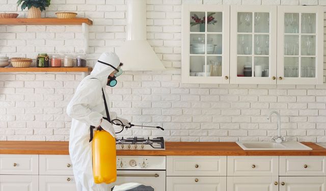 Sertifikalı Böcek İlaçlama Hizmetleri Neden Önemli?