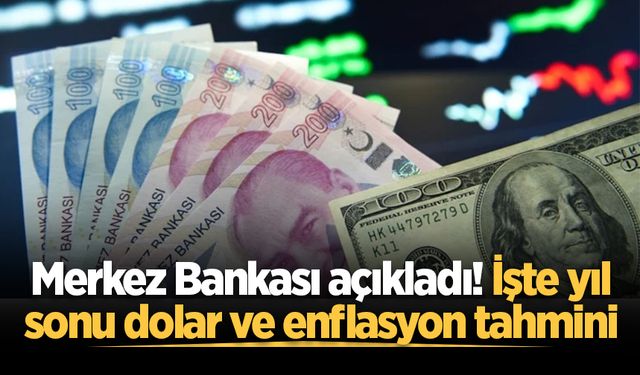 Merkez Bankası açıkladı! İşte 2026 sonu dolar ve enflasyon tahmini