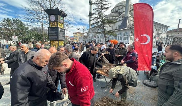 Dağıtılan 2 bin meyve fidesi toprakta hayat bulacak