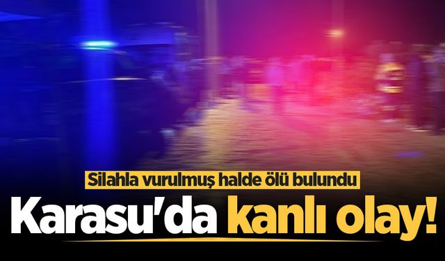 Karasu'da kanlı olay! Silahla vurulmuş halde ölü bulundu