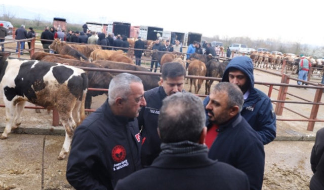 Hayvan pazarında inceleme yaptılar