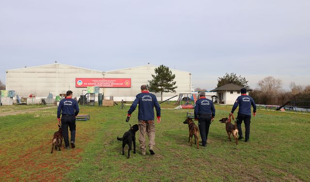Büyükşehir'in K9 kahramanları afetlere hazır
