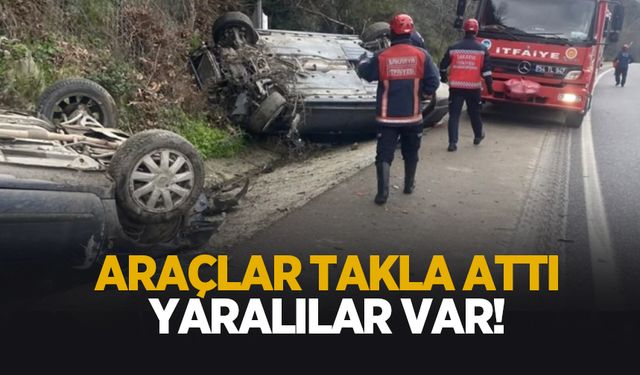 D-650'de iki otomobil takla attı: Yaralılar var