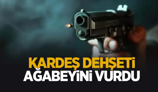 Ağabeyini silahla vurdu