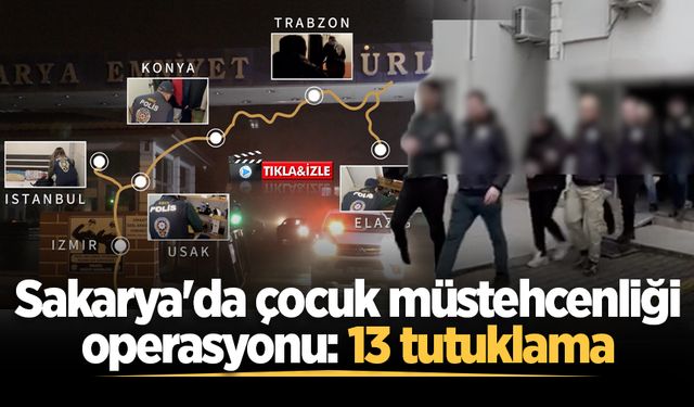 Sakarya'da çocuk müstehcenliği operasyonu: 13 tutuklama