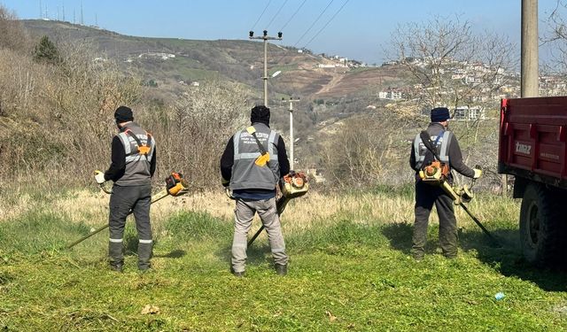 Serdivan’da bahar mesaisi başladı