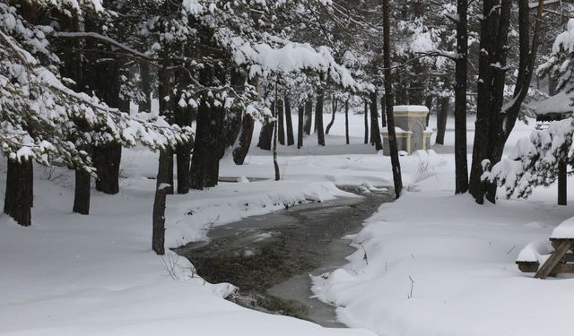 Abant Gölü Milli Parkı beyaza büründü