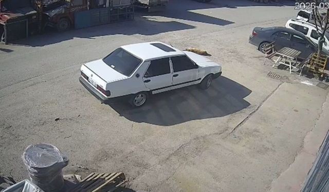 Köpeğin üzerinden geçen sürücü gözaltına alındı