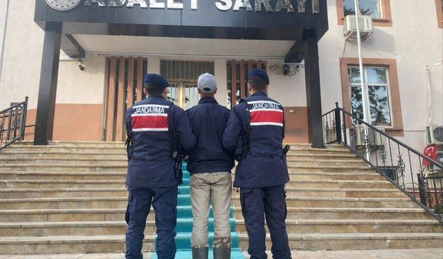 Kendisine saldıran köpeklerin sahibini vurdu