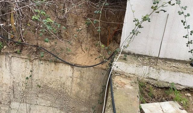 Fidan dikimi sırasında insan kafatası ve kemik parçaları bulundu