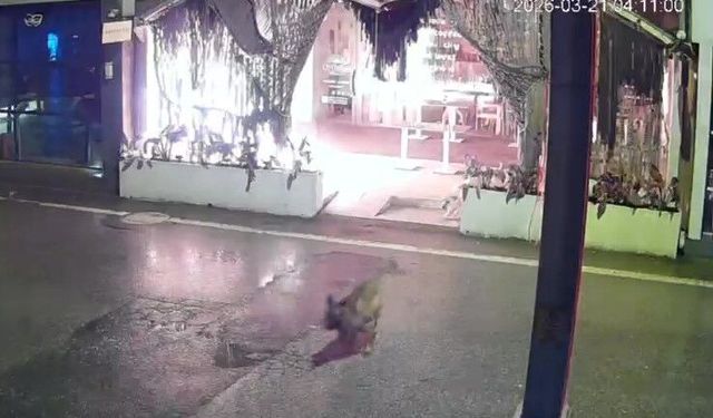 Kafeyi kundaklayıp kaçtı: O anlar kamerada