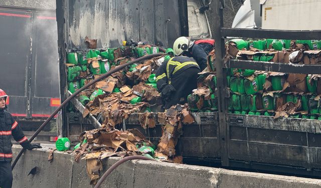 D-650'deki kazada fotoğraflar