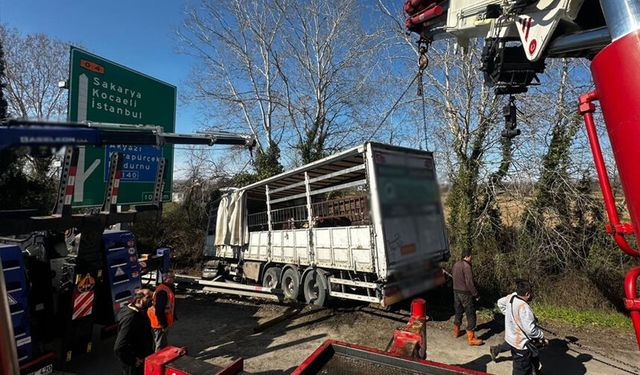 TEM’de kurbanlık yüklü tır şarampole uçtu