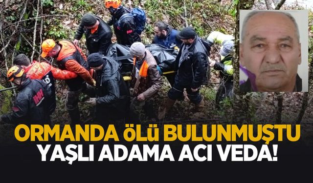 Define meraklısıydı; Ormanda ölü bulunan yaşlı adama acı veda