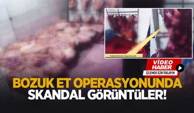 Skandal görüntüler; Veremli hayvanın etini yedireceklermiş!