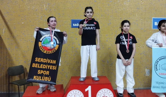 Serdivan’ın altın çocukları tatamiye damga vurdu: 25 madalya!