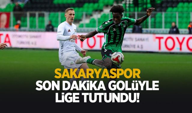 Sakaryaspor: 2 Vanspor: 1