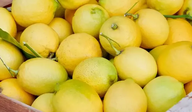 Limonda gümrük vergisi yeniden düzenlendi