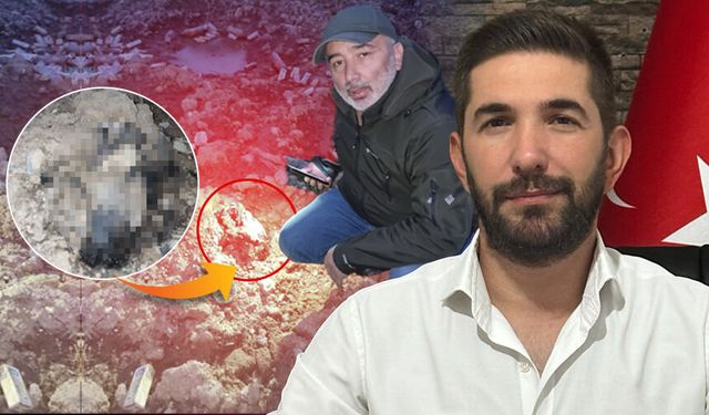 Albayrakoğlu’ndan barınak tepkisi: Ne sokaklar tehlikeye atılmalı ne hayvanlara zulmedilmeli