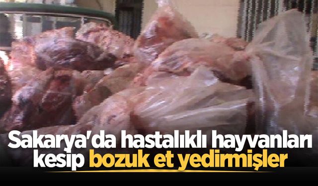 Sakarya'da hastalıklı hayvanları kesip bozuk etleri yedirmişler: 30 gözaltı