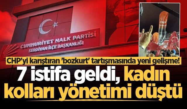 CHP'yi karıştıran 'bozkurt' tartışmasında yeni gelişme! 7 istifa geldi, kadın kolları yönetimi düştü