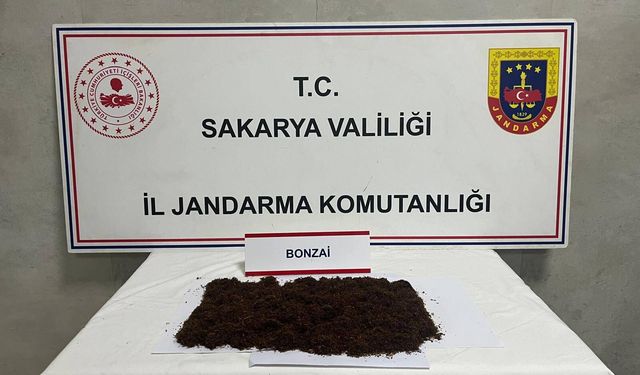 Jandarmadan üç ilçede sokak satıcılarına operasyon: 3 şüpheli tutuklandı