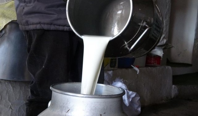 Ticari süt işletmelerince toplanan inek sütü azaldı